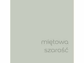 Farba lateksowa EasyCare miętowa szarość 5 L DULUX