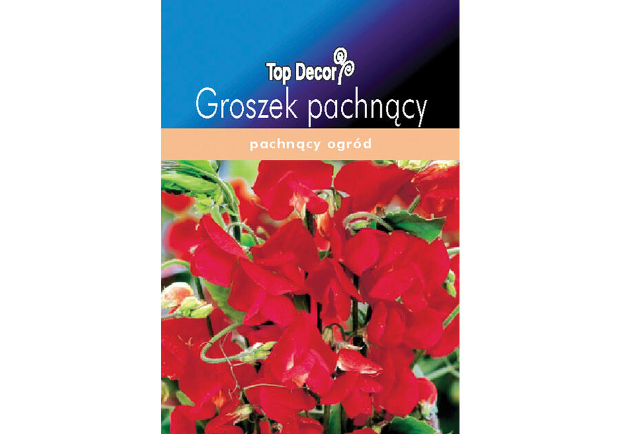 Groszek pachnący TOP DECOR