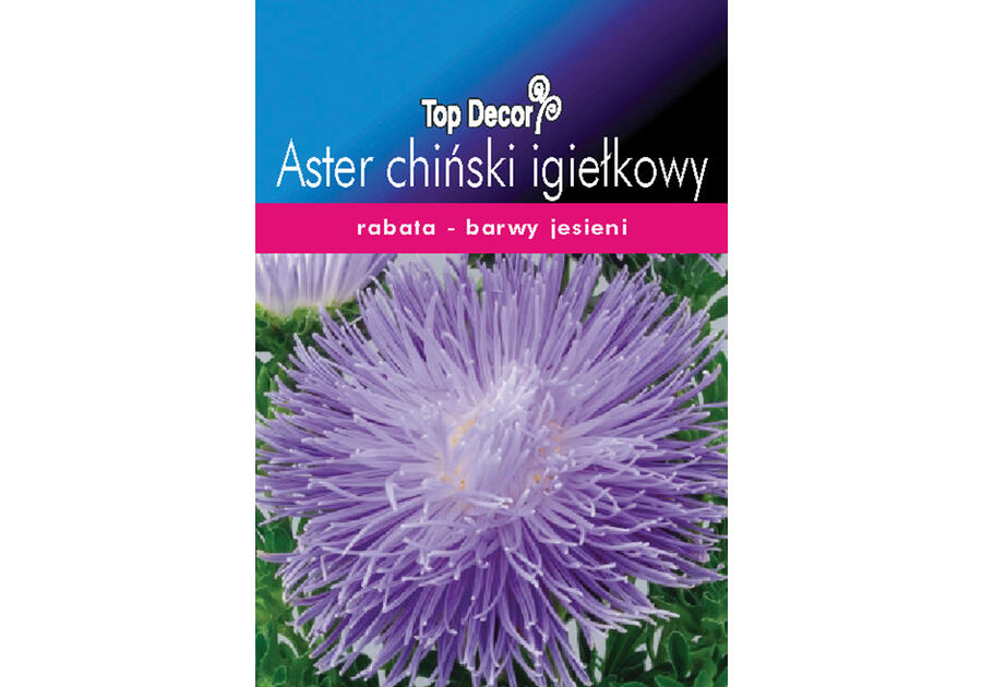 Aster chiński igiełkowy TOP DECOR