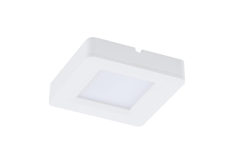 Oprawa dekoracyjna SMD LED Iga LED D 1,8 W biała 4000K STRUHM