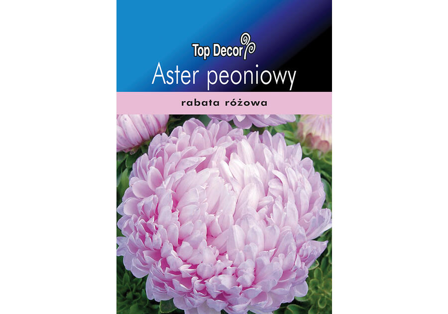 Aster peoniowy TOP DECOR