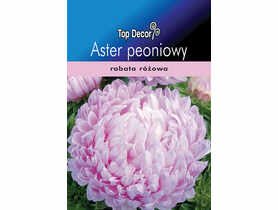 Aster peoniowy TOP DECOR