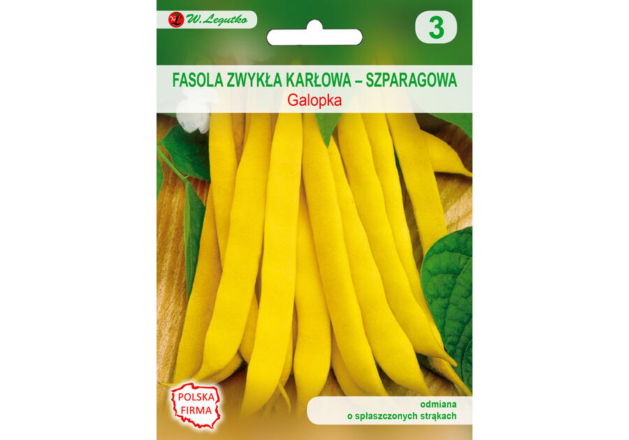 Fasola zwykła karłowa galopka nasiona tradycyjne 35 g W. LEGUTKO