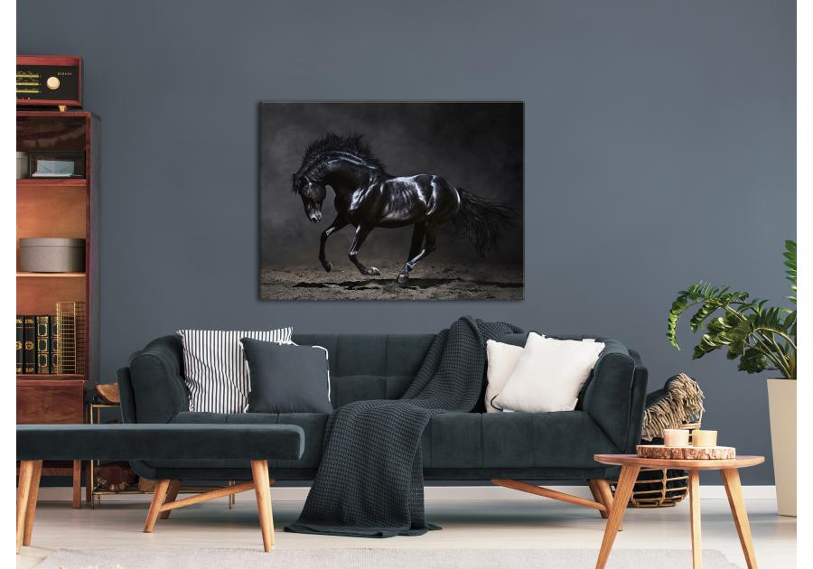 Obraz Canvas Silver1 85x113x2,8 cm Ex511 Black Horse STYLER