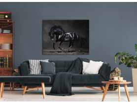 Obraz Canvas Silver1 85x113x2,8 cm Ex511 Black Horse STYLER