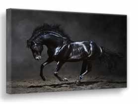 Obraz Canvas Silver1 85x113x2,8 cm Ex511 Black Horse STYLER