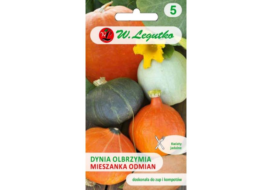 Dynia olbrzymia mieszanka odmian W. LEGUTKO