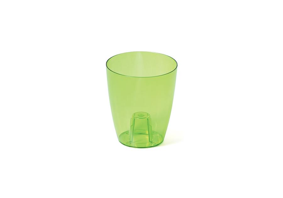 Doniczka Coubi zielon transparentny 16 cm PROSPERPLAST