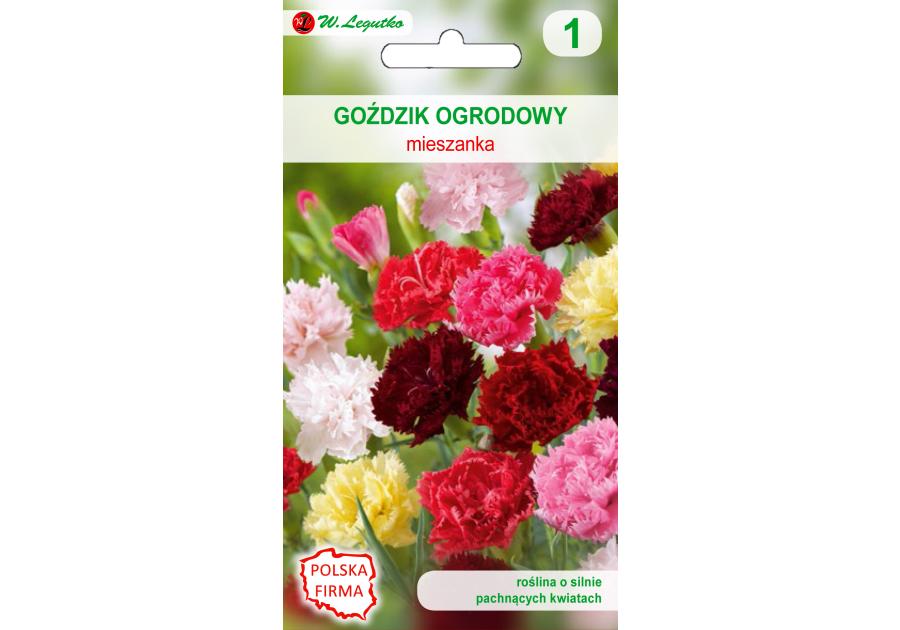 Goździk ogrodowy nasiona tradycyjne 0.5 g W. LEGUTKO