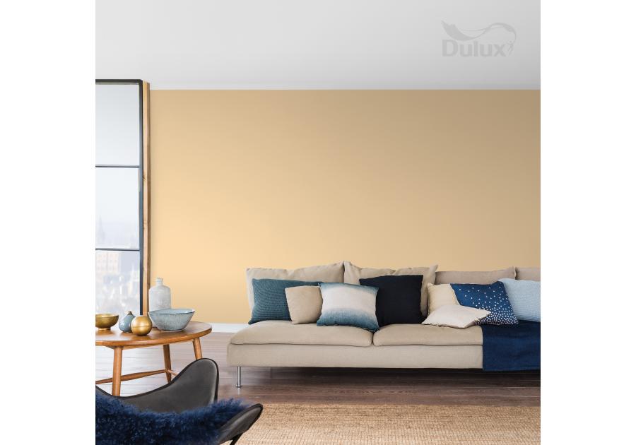 Farba do wnętrz Kolory Świata 2,5 L promienny świt DULUX