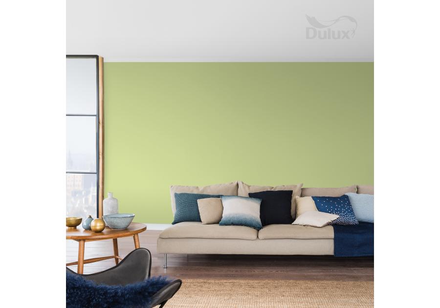Farba do wnętrz Kolory Świata 2,5 L bambusowy gaj DULUX