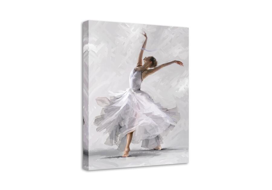 Obraz Canvas Waterdance 60x80 cm Ex315  Dancer2 STYLER