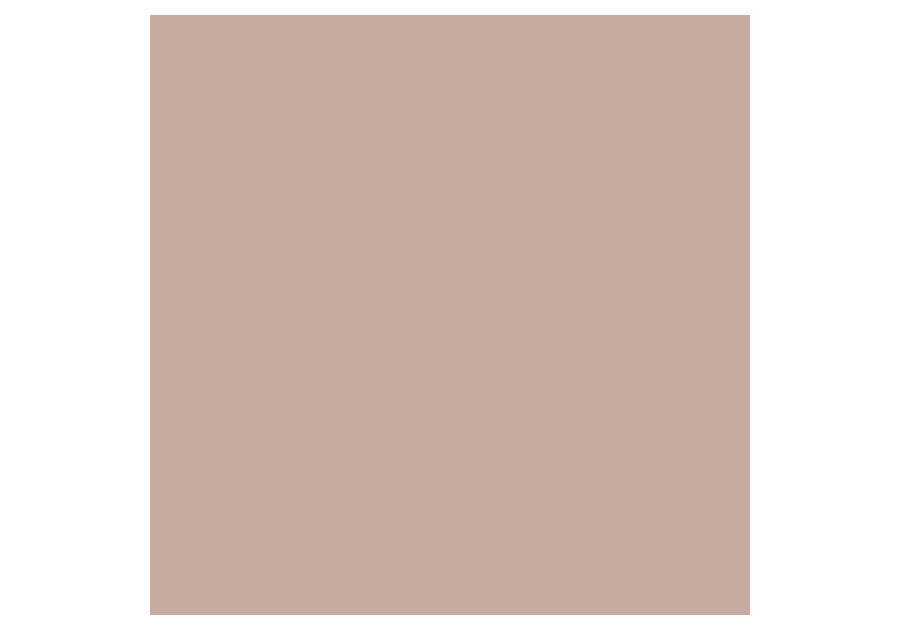 Farba lateksowa Designer Colour Cup Of Coffee 5 L BECKERS