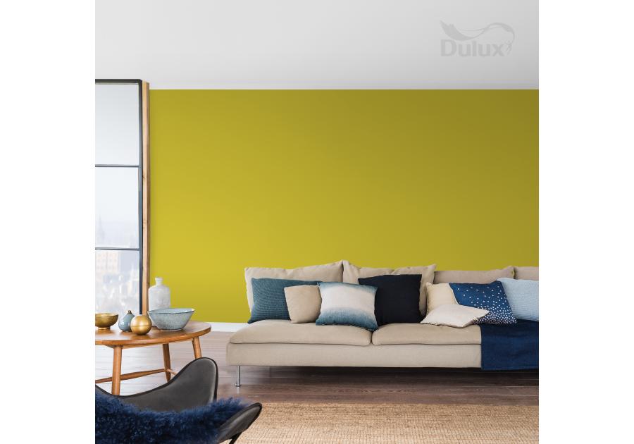 Farba do wnętrz Kolory Świata 2,5 L ryżowe pola DULUX