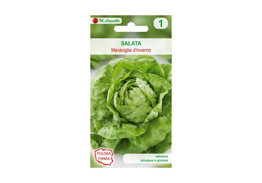 Sałata głowiasta masłowa nasiona tradycyjne 0.5 g W. LEGUTKO