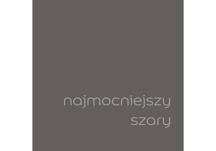 Farba lateksowa EasyCare+ Najmocniejszy Szary 2,5 L DULUX