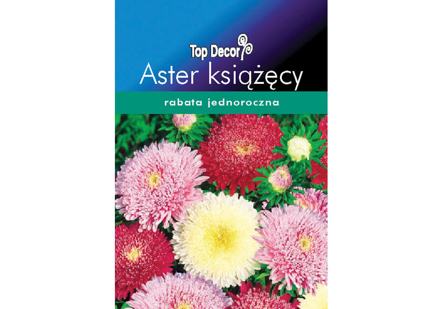 Aster książęcy TOP DECOR