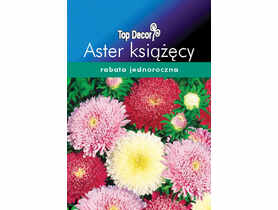 Aster książęcy TOP DECOR