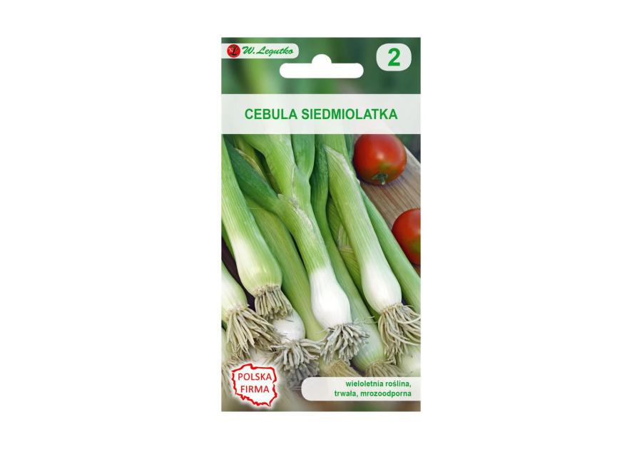 Cebula siedmiolatka nasiona tradycyjne 2 g W. LEGUTKO