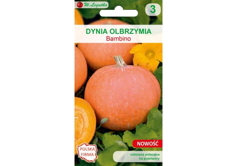 Dynia olbrzymia Bambino pomarańczowe W. LEGUTKO