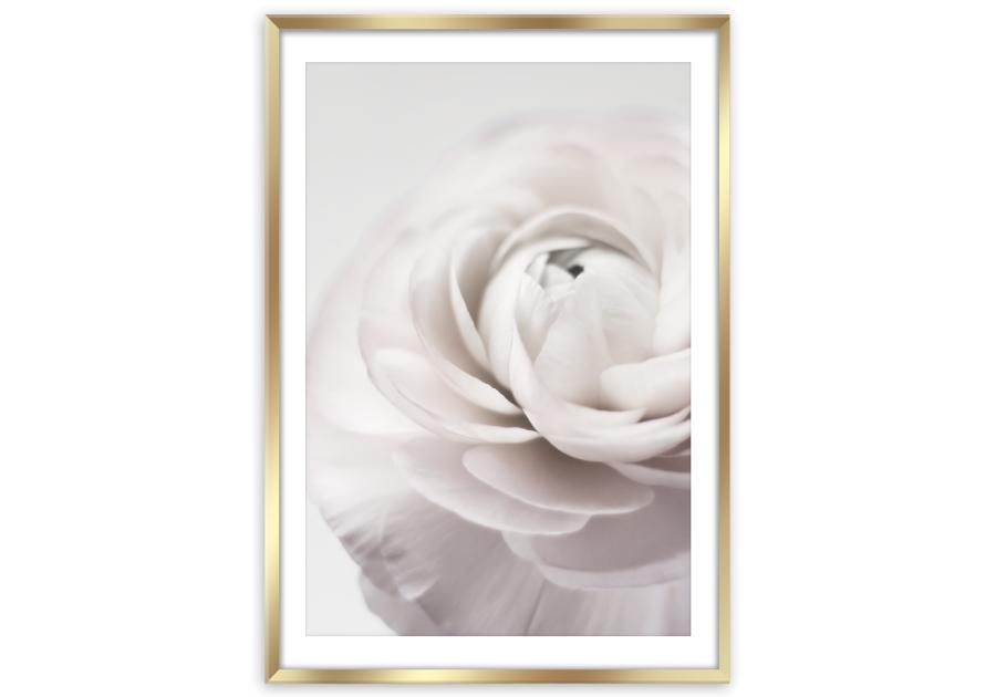 Plakat Framepic 50x70 cm Fp012 Petals STYLER