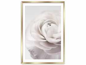 Plakat Framepic 50x70 cm Fp012 Petals STYLER