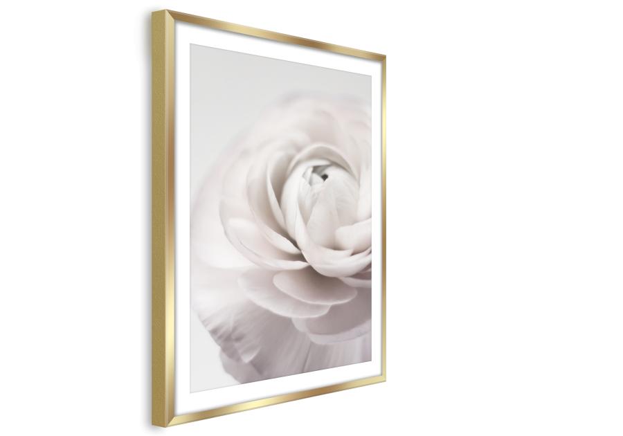 Plakat Framepic 50x70 cm Fp012 Petals STYLER