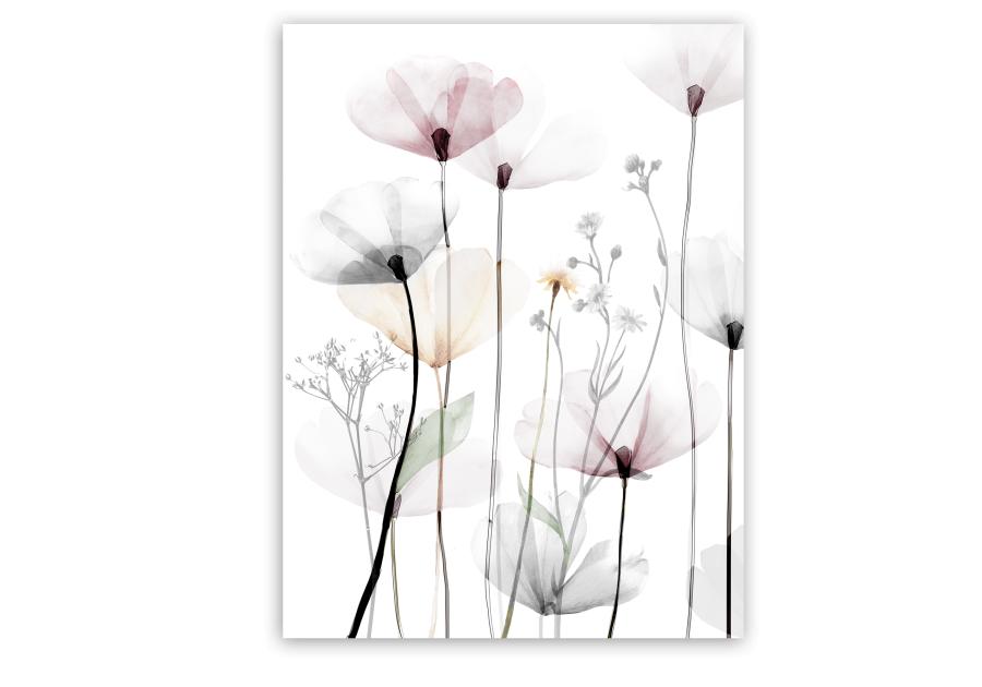 Obraz Canvas Flowers 60x80 cm St543 Modern Poppy 1 STYLER