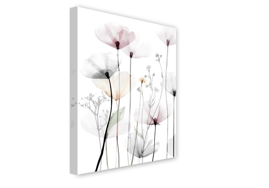 Obraz Canvas Flowers 60x80 cm St543 Modern Poppy 1 STYLER