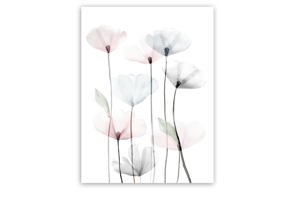 Obraz Canvas Flowers 60x80 cm St544 Modern Poppy 2 STYLER