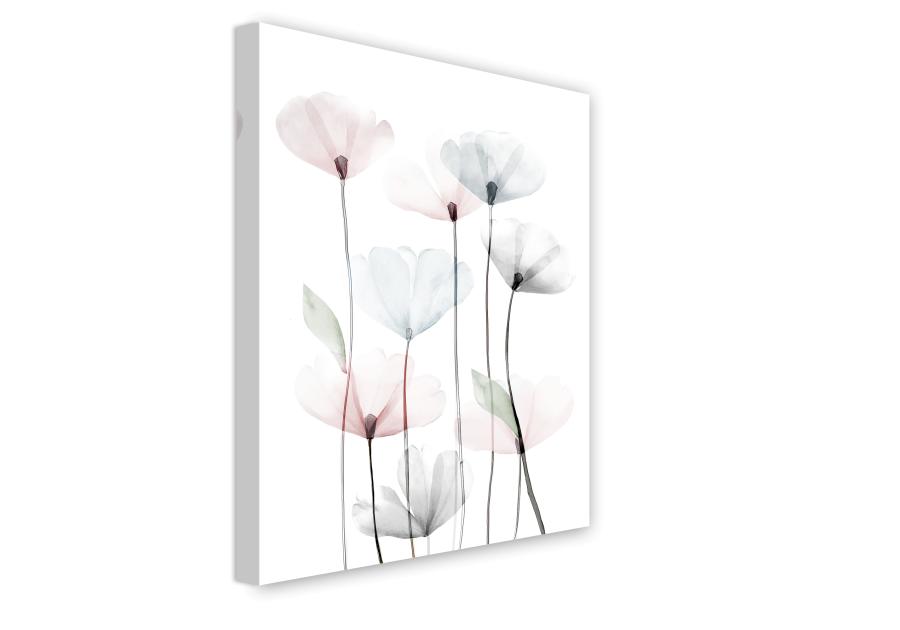 Obraz Canvas Flowers 60x80 cm St544 Modern Poppy 2 STYLER