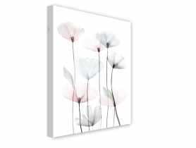 Obraz Canvas Flowers 60x80 cm St544 Modern Poppy 2 STYLER