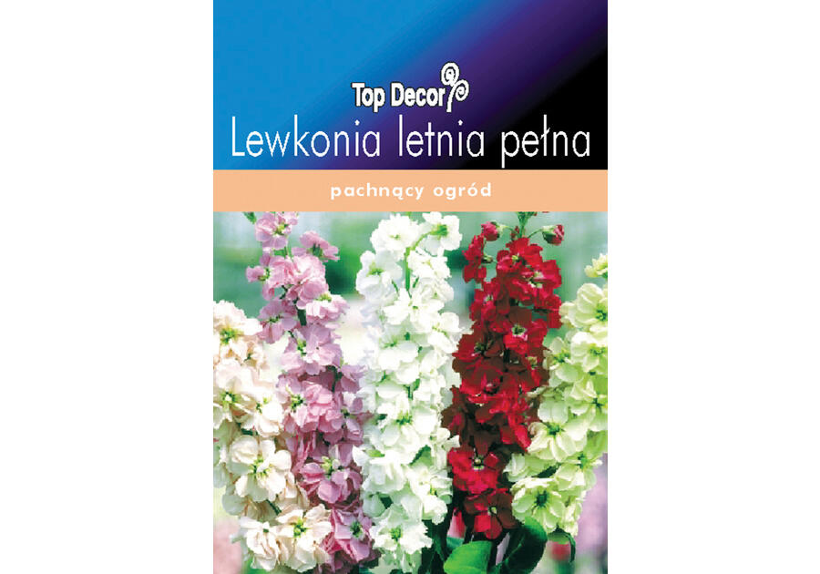 Lewkonia letnia pełna TOP DECOR