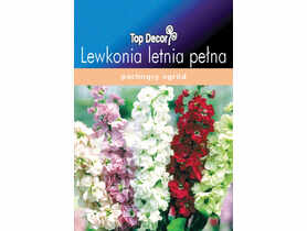 Lewkonia letnia pełna TOP DECOR