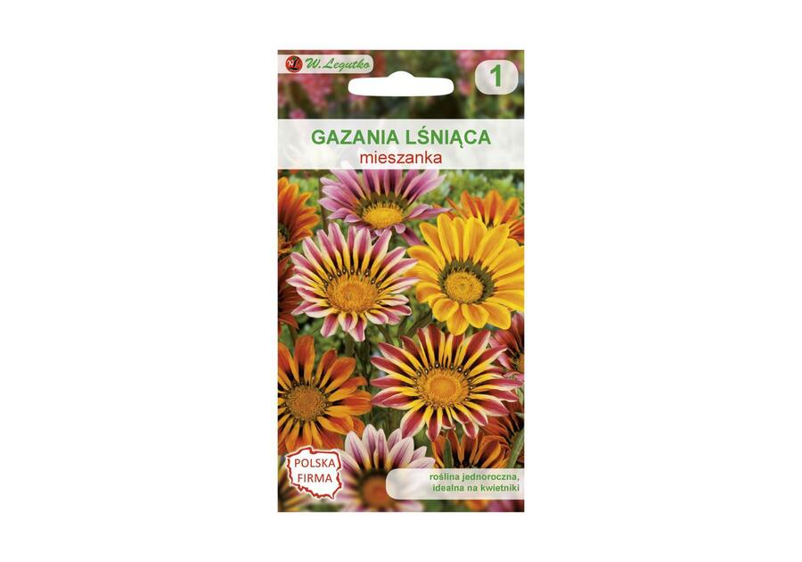 Gazania lśniąca mieszanka nasiona tradycyjne 0.2 g W. LEGUTKO