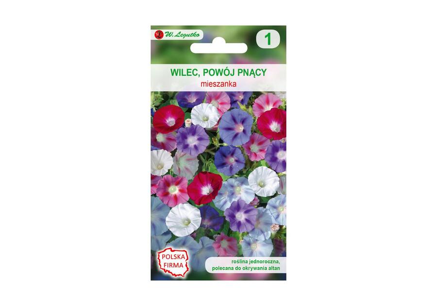 Wilec powój pnący mieszanka nasiona tradycyjne 4 g W. LEGUTKO