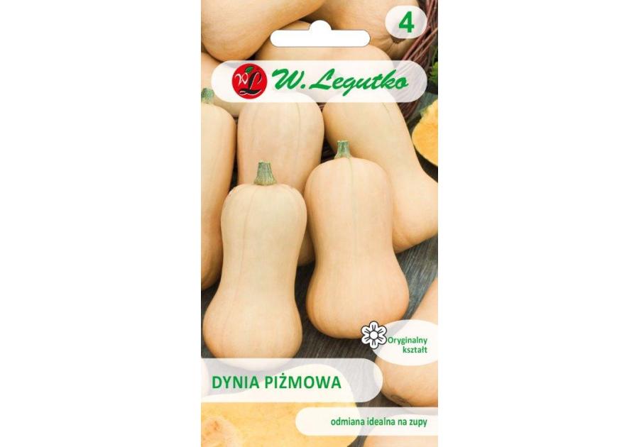 Dynia piżmowa Butternut biała W. LEGUTKO