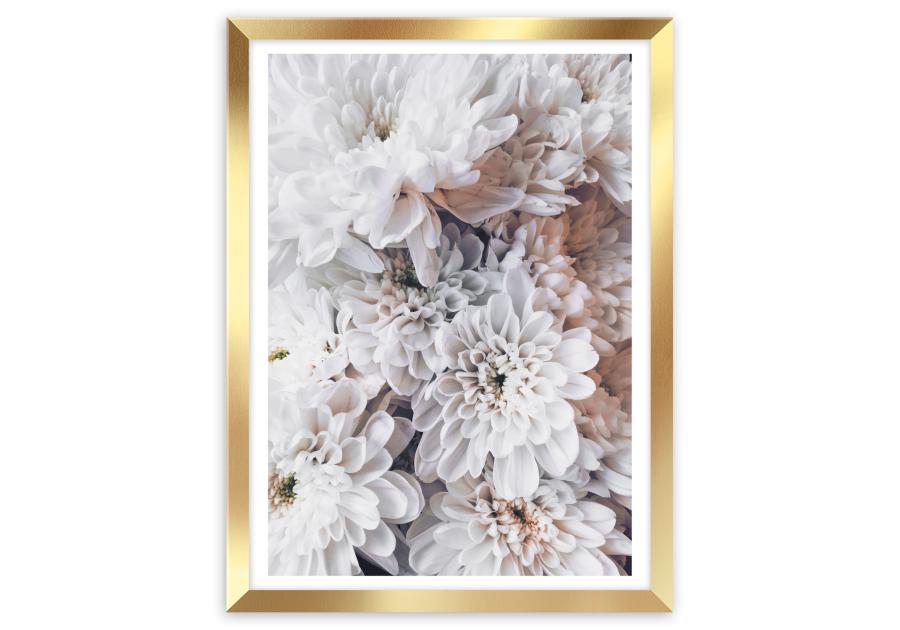 Plakat Framepic 30x40 cm Fp010 Dahlias STYLER