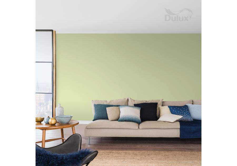 Farba do wnętrz Kolory Świata 2,5 L pąki akacji DULUX