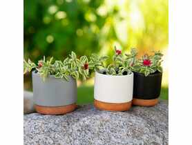 Osłonka ceramiczna Daisy VERDENIA