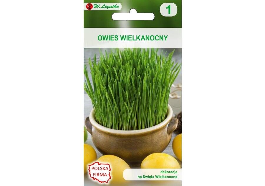 Owies wielkanocny nasiona tradycyjne 20 g W. LEGUTKO