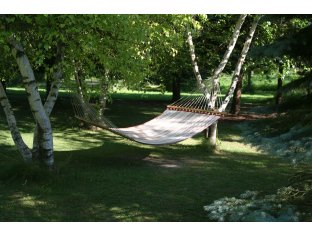 hammock-385600_1920.jpg