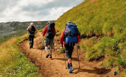 M jak Mrówka Jesienne trekkingi