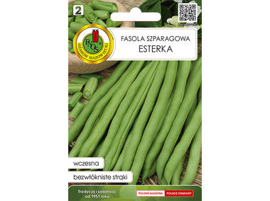 Zdjęcie: Fasola szparagowa zielona Karłowa Esterka 20 g PNOS