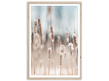 Zdjęcie: Plakat Framepic 50x70 cm Fp056 Grass STYLER