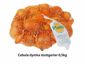 Cebula dymka Stuttgarter 0,5 kg PLANTA