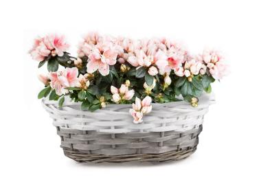 Zdjęcie: Balkonówka koszyk na kwiaty z folią 27x17x11 cm TIN TOURS