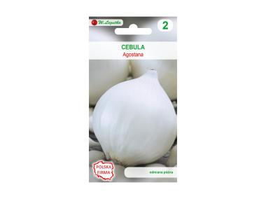 Zdjęcie: Cebula biała Agastona nasiona tradycyjne 1 g W. LEGUTKO