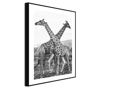 Zdjęcie: Obraz Artbox Digi 50x70 cm Ab042 Giraffe STYLER