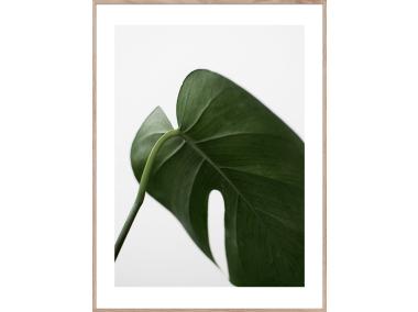 Zdjęcie: Obraz Artbox Digi 50x70 cm Ab058 Leaf STYLER